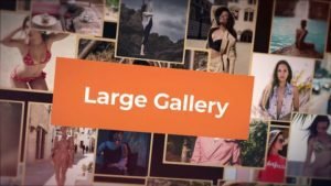Read more about the article VIDEOHIVE FAST LARGE GALLERY