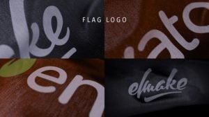 Read more about the article VIDEOHIVE FLAG LOGO