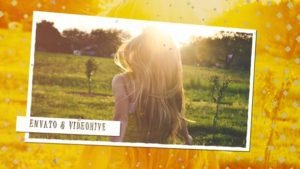 Read more about the article VIDEOHIVE SUN DAY