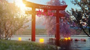 Read more about the article VIDEOHIVE SAKURA – JAPAN OPENER