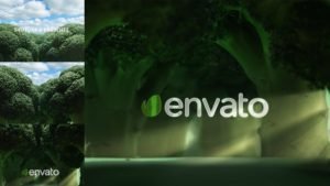Read more about the article VIDEOHIVE BROCCOLI LOGO OPENER | NATURE, ECOLOGY, VEGETARIANISM