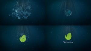 Read more about the article VIDEOHIVE WATER SPLASH LOGO 26688036