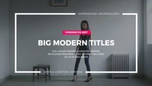 Read more about the article VIDEOHIVE BIG TYPO TITLES