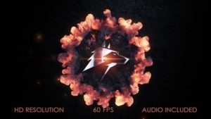 Read more about the article VIDEOHIVE LOGO STOMP EXPLOSION