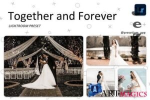 Read more about the article CreativeMarket – Together Forever – Lightroom Presets 5223574