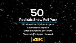 Read more about the article VIDEOHIVE 50 REALISTIC SNOW FALLS PROJECT PACK