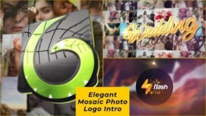 Read more about the article VIDEOHIVE ELEGANT MOSAIC PHOTO LOGO INTRO