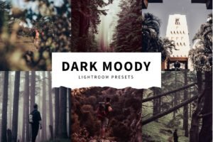 Read more about the article CreativeMarket – 10 Dark Moody Lightroom Presets 5516123