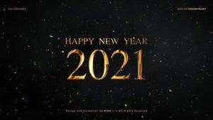 Read more about the article VIDEOHIVE NEW YEAR COUNTDOWN 2021