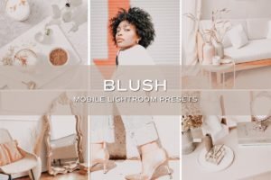 Read more about the article CreativeMarket – 5 Blush Lightroom Presets 5701707