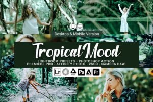 Read more about the article CreativeMarket – Tropical Mood Presets 5689991
