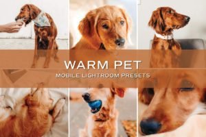 Read more about the article CreativeMarket – 5 Warm Pet Lightroom Presets 5701723