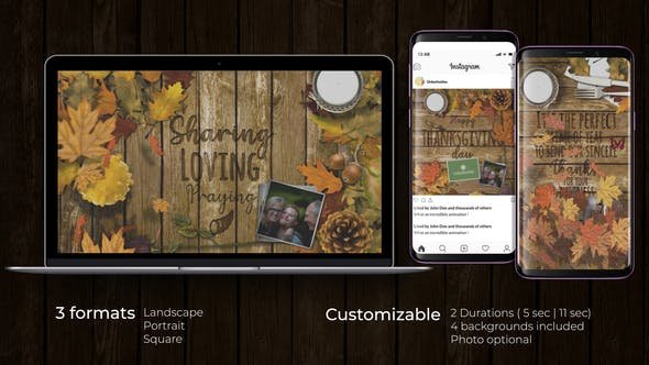 You are currently viewing VIDEOHIVE THANKSGIVING OPENER