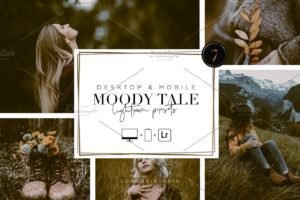 Read more about the article CreativeMarket – MOODY TALE – Lightroom Presets 5667429