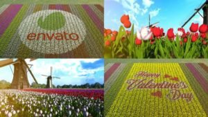 Read more about the article Videohive Flower Field