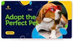 Read more about the article Videohive Adopt The Perfect Pet Be A Hero