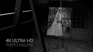 Read more about the article VIDEOHIVE BLACK AND WHITE PHOTO GALLERY IN AN ART STUDIO AT NIGHT