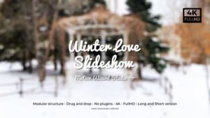 Read more about the article VIDEOHIVE WINTER LOVE SLIDESHOW