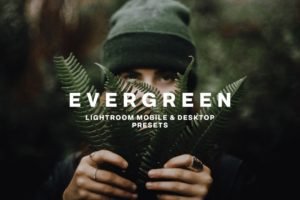 Read more about the article EVERGREEN LIGHTROOM PRESETS