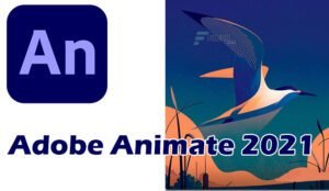 Read more about the article Adobe Animate CC 2021 Free Download