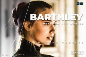 Read more about the article Barthley Desktop and Mobile Lightroom Preset by Bangset