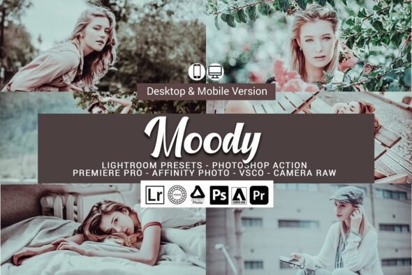 Read more about the article Moody Lightroom Presets and LUTs