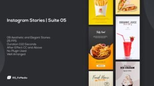 Read more about the article VIDEOHIVE INSTAGRAM STORIES SUITE 05
