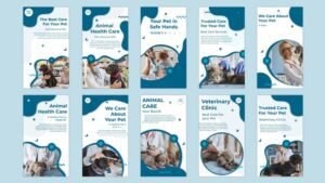 Read more about the article VIDEOHIVE ANIMAL HEALTH CARE INSTAGRAM STORY