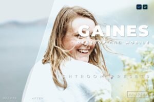 Read more about the article Gaines Desktop and Mobile Lightroom Preset by Bangset