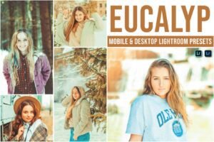 Read more about the article Eucalyp Mobile and Desktop Lightroom Presets