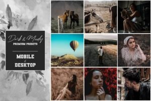 Read more about the article Dark and Moody Premium Presets By Voleshads