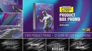 Read more about the article VIDEOHIVE BOX PRODUCT PROMO