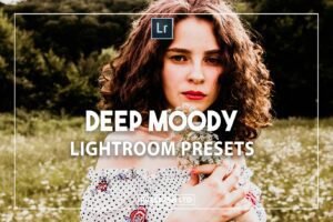 Read more about the article Deep Moody Presets by Presetsh