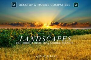 Read more about the article Landscape Desktop & Mobile Presets By LOU&MARKS
