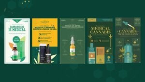 Read more about the article VIDEOHIVE CANNABIS HEMP OIL PRODUCTS INSTAGRAM STORYS