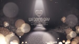 Read more about the article VIDEOHIVE WEDDING DAY 22214341