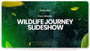 Read more about the article Videohive Wildlife Journey Slideshow 33481975