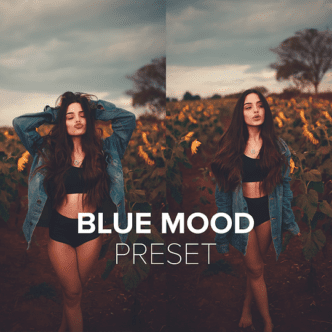 You are currently viewing Blue Mood Lightroom Presets