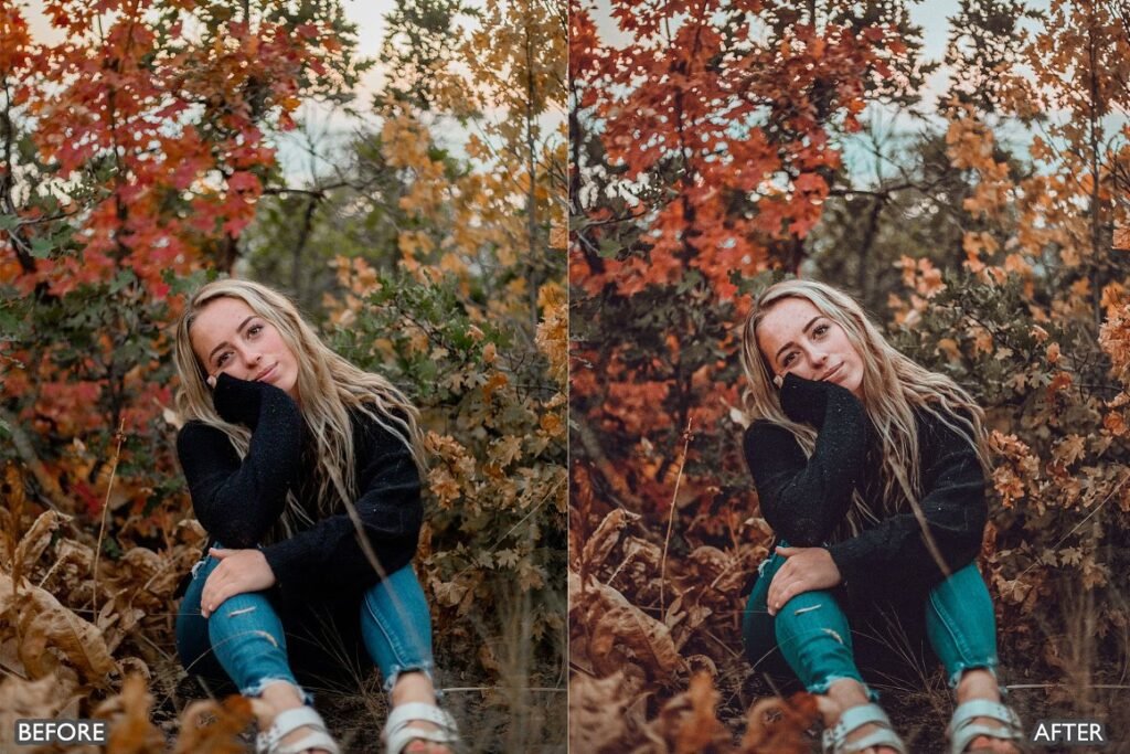 Preview 2 Autumn Vibrant Lightroom Presets » After Effects Templates Free - Free Ae Templates