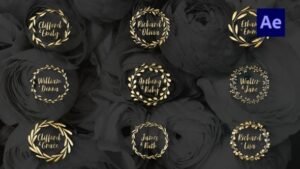Read more about the article Gold Wedding Wreath 35981394 Videohive