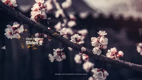 You are currently viewing Clean Modern Slides 3 36643346 Videohive