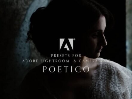 Read more about the article The POETICO Lightroom Presets Free