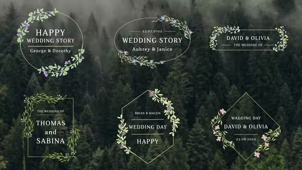 Read more about the article Wedding Titles 36434236 Videohive