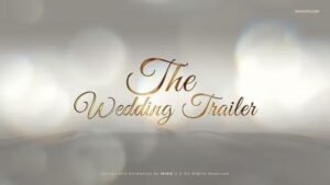 Read more about the article Wedding Trailer 37453336 Videohive