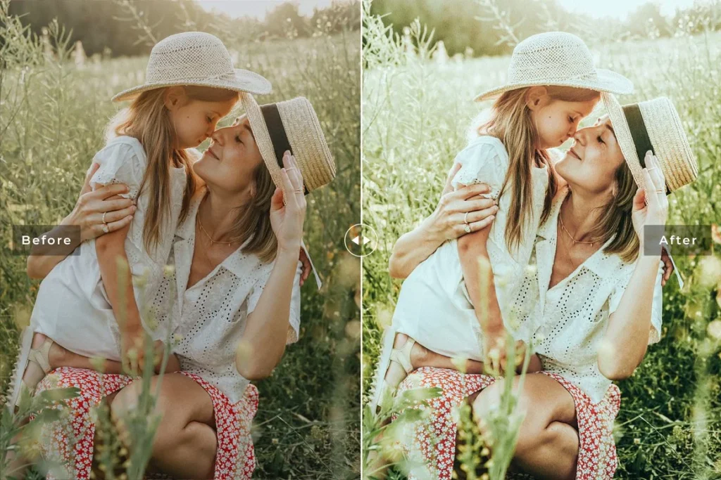 Kiwi Pro Lightroom Presets » After Effects Templates Free - Free Ae Templates