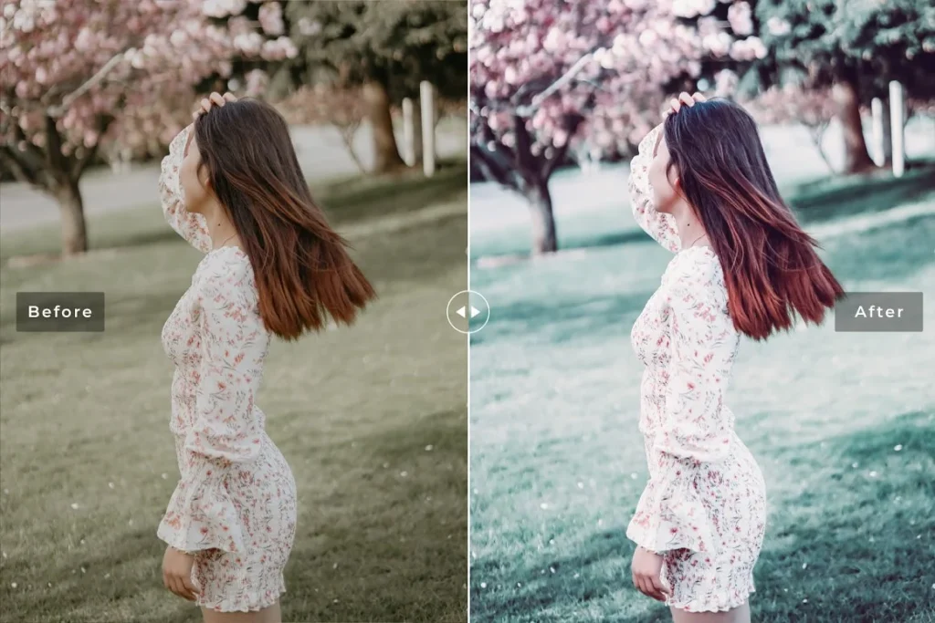 Snowberry Presets 7387227 » After Effects Templates Free - Free Ae Templates