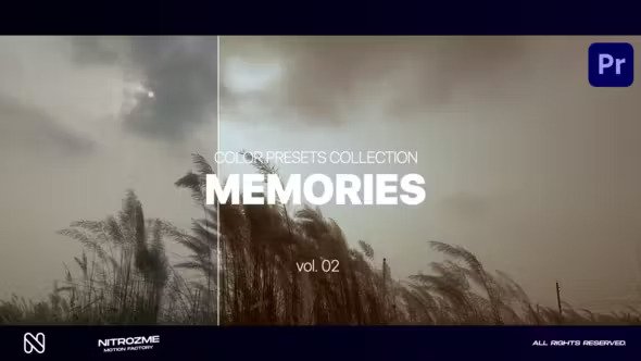 Memories LUT Collection Vol. 02 for Premiere Pro Videohive 47632802