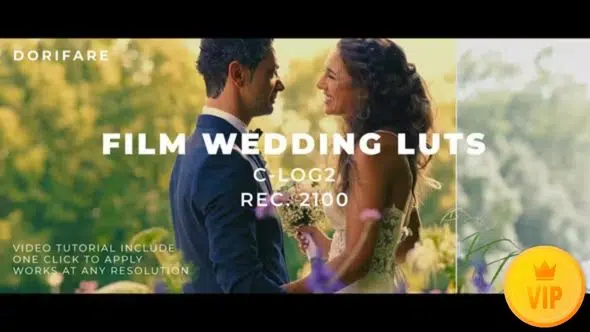 Luts Film Wedding C-Log2 DaVinci Resolve 44234677 Videohive