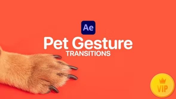 Pet Gesture Transitions 47367361 Videohive