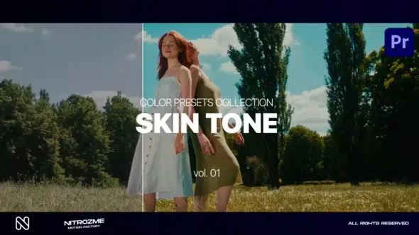 Skin LUT Collection Vol. 01 for Premiere Pro 47632816 Videohive